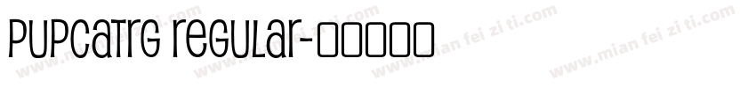 PupcatRg Regular字体转换